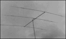 te33