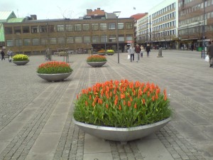 DSC00565