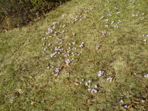 DSC00568